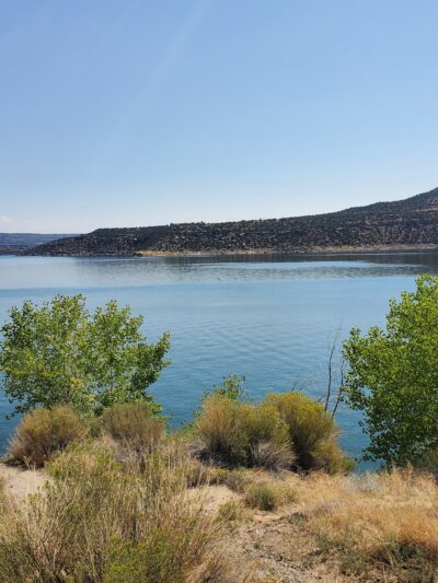 Navajo Lake State Park (Pine) - Navajo Dam, NM