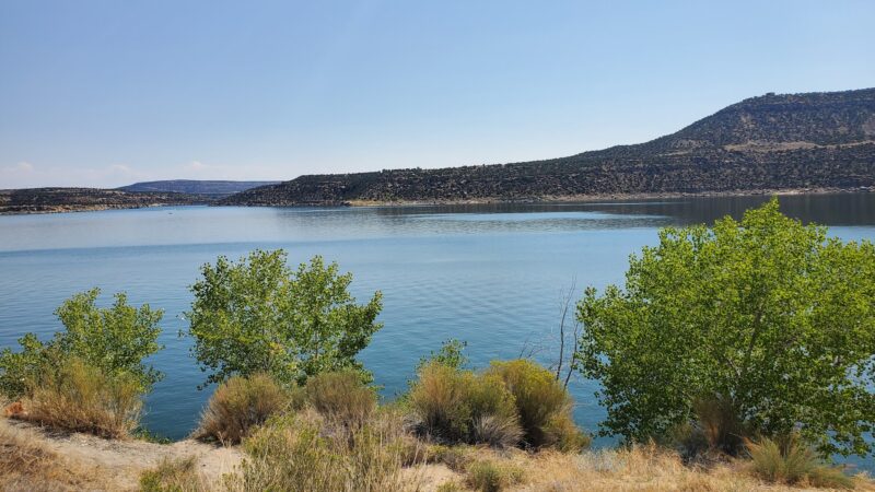 Navajo Lake State Park (Pine) - Navajo Dam, NM