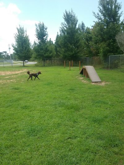 Navarre Central Bark - Navarre, FL