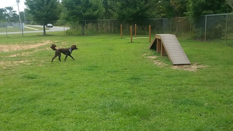 Navarre Central Bark - Navarre, FL
