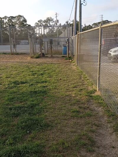 Navarre Central Bark - Navarre, FL