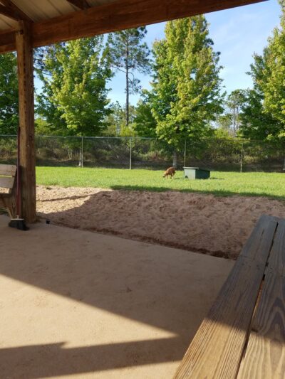 Navarre Central Bark - Navarre, FL