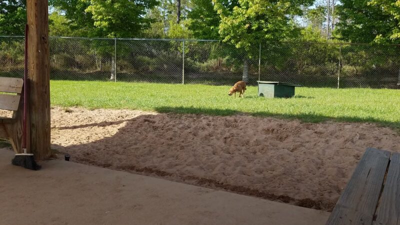 Navarre Central Bark - Navarre, FL
