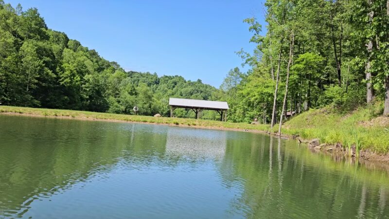 Walker Creek Farms & Cabins - Nebo, WV