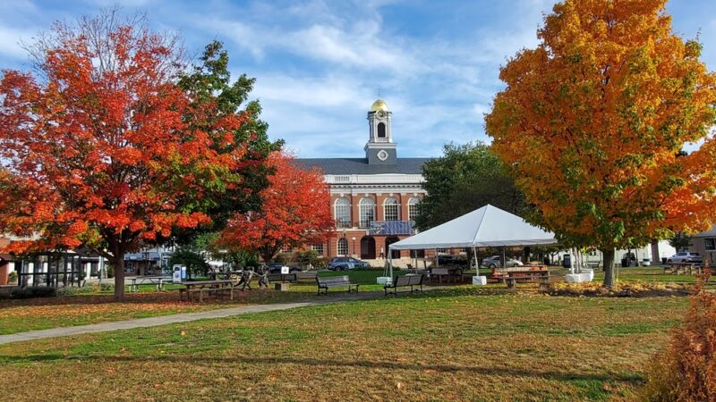 Townhall Park - Needham, MA