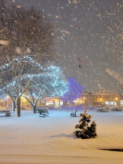 Townhall Park - Needham, MA