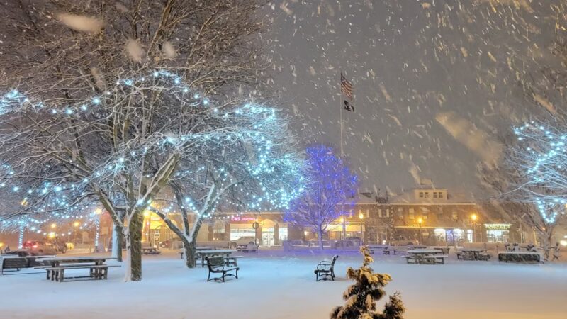 Townhall Park - Needham, MA
