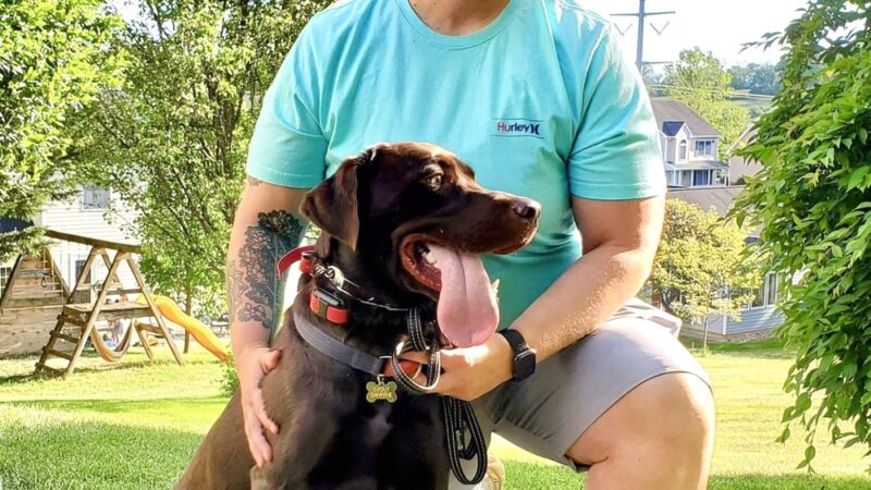 Sadie's Rules K9 Training - Nellysford, VA