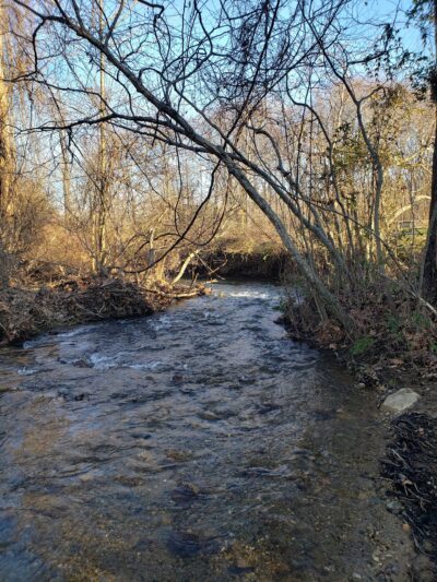 Spruce Creek Park Glenthorne Entrance - Nellysford, VA