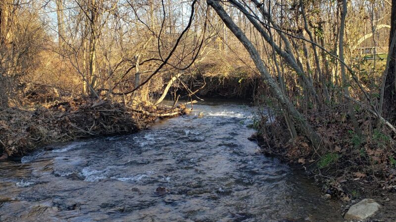 Spruce Creek Park Glenthorne Entrance - Nellysford, VA