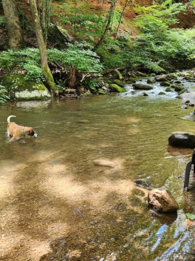 Stoney Creek Park - Nellysford, VA