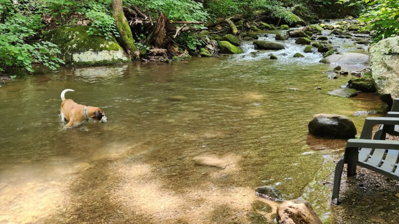 Stoney Creek Park - Nellysford, VA