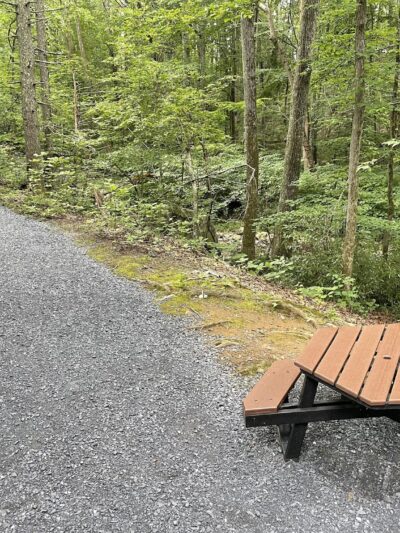 Stoney Creek Park - Nellysford, VA