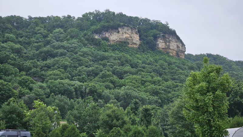 Nelson's Landing RV Park - Nelson, WI