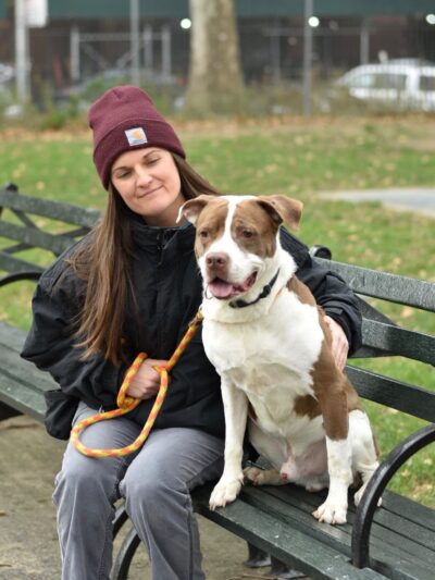 Ness Dog Behavior and Training - ,