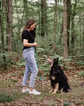 Ness Dog Behavior and Training - ,