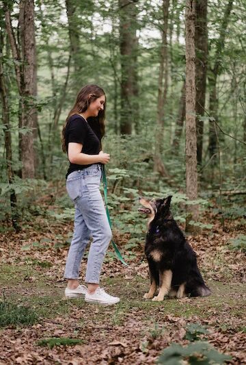 Ness Dog Behavior and Training - ,