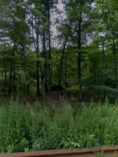 Neversink Park - Neversink, NY