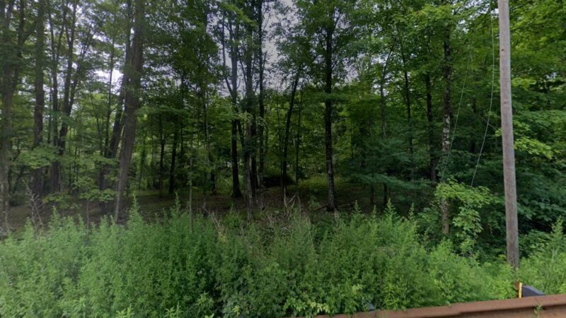 Neversink Park - Neversink, NY