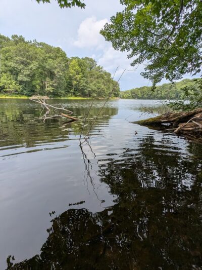 Town Line Lake & Woods State Natural Area - New Auburn, WI