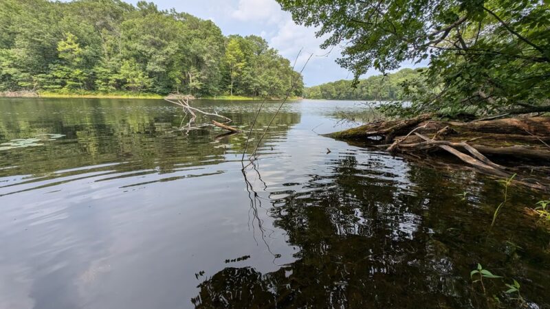 Town Line Lake & Woods State Natural Area - New Auburn, WI