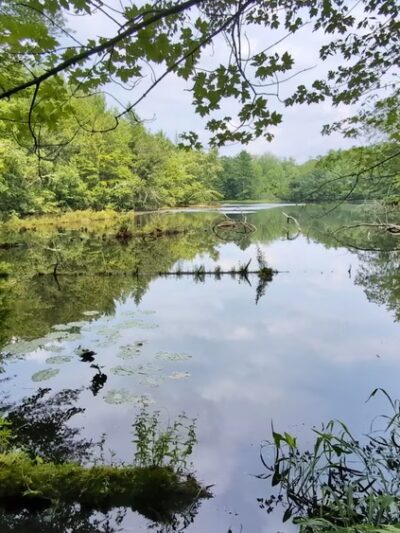 Town Line Lake & Woods State Natural Area - New Auburn, WI