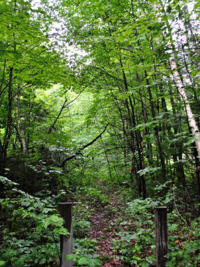 Town Line Lake & Woods State Natural Area - New Auburn, WI