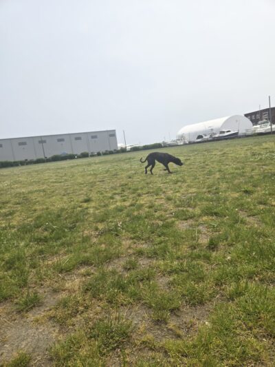 Ben Rose Field - New Bedford, MA