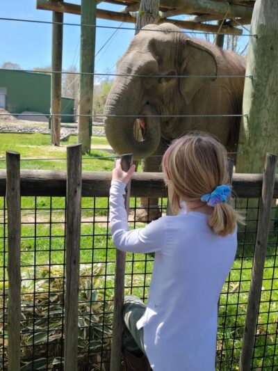 Buttonwood Park - New Bedford, MA