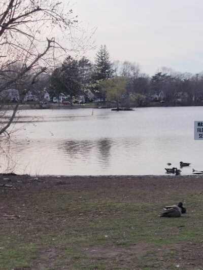 Buttonwood Park - New Bedford, MA