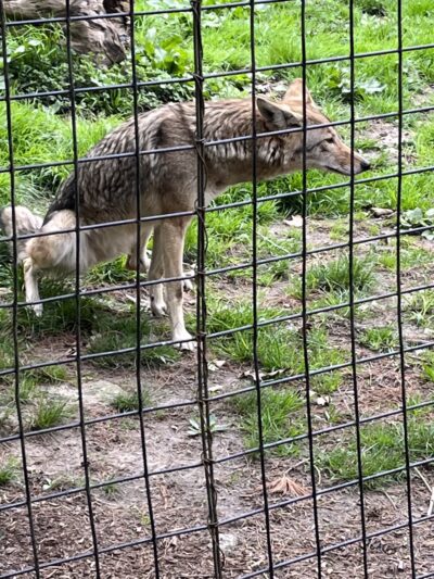 Buttonwood Park - New Bedford, MA