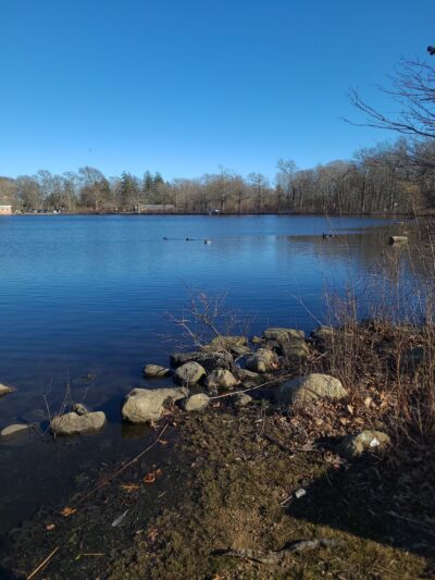 Buttonwood Park - New Bedford, MA