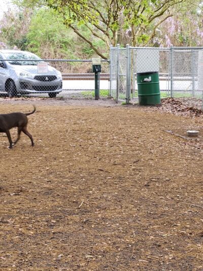 Dog Park (Monk Mallard Park) - New Bern, NC