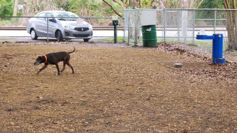 Dog Park (Monk Mallard Park) - New Bern, NC