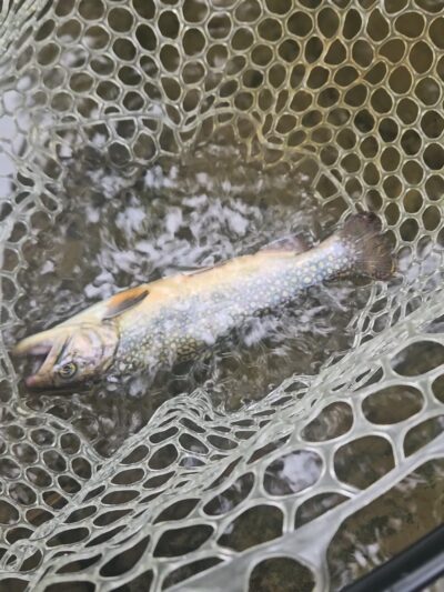 Wagners park - New Bloomfield, PA