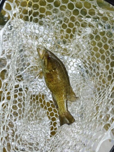 Wagners park - New Bloomfield, PA