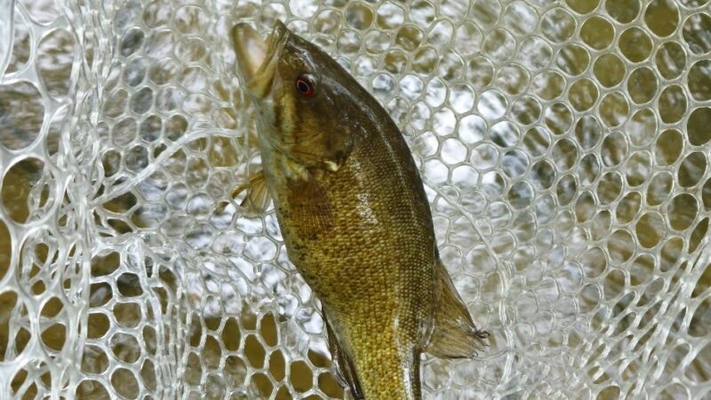 Wagners park - New Bloomfield, PA