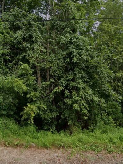 Wagners park - New Bloomfield, PA