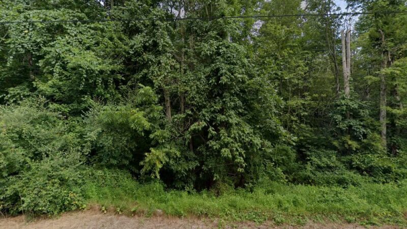 Wagners park - New Bloomfield, PA