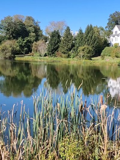 Mead Memorial Park - New Canaan, CT