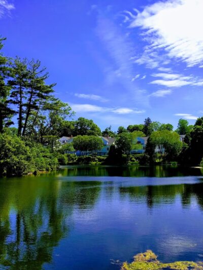 Mead Memorial Park - New Canaan, CT