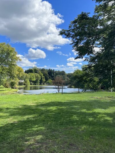 Mead Memorial Park - New Canaan, CT