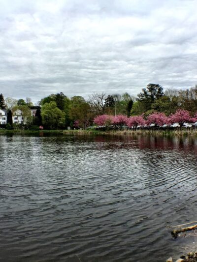 Mead Memorial Park - New Canaan, CT