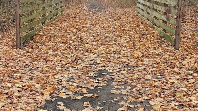 Neshannock Trail - New Castle, PA
