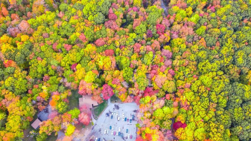 Pearson Park - New Castle, PA