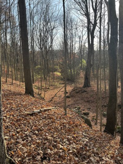 West Park Nature Center - New Castle, PA