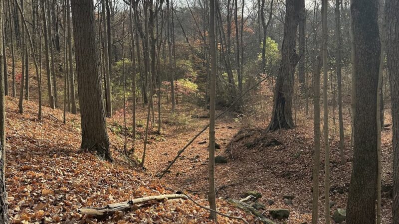 West Park Nature Center - New Castle, PA