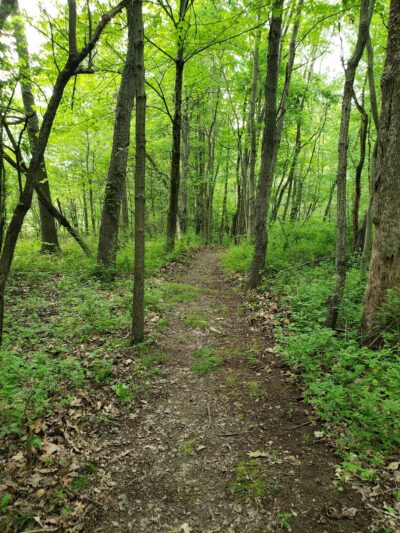 West Park Nature Trails - New Castle, PA