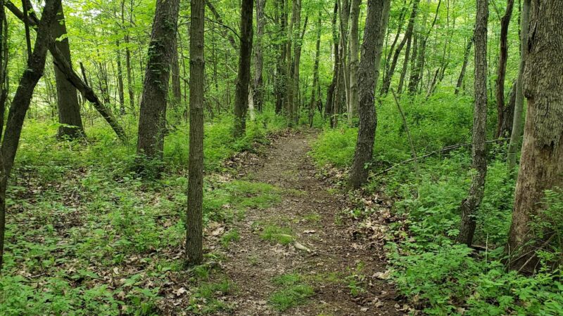 West Park Nature Trails - New Castle, PA