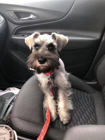 Jay’s Moondoggie Spa - New Columbia, PA